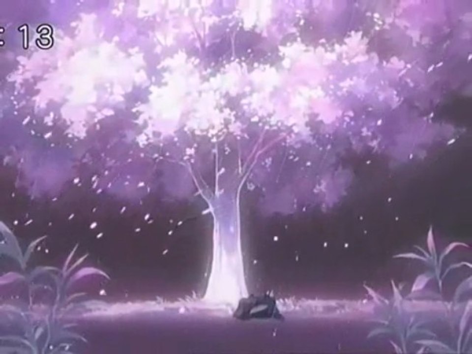 Eternal snow