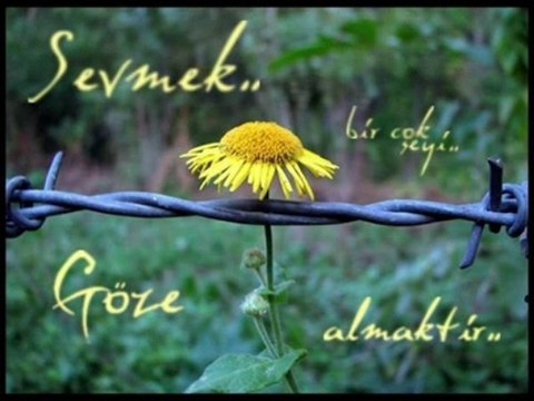 Benim Canım Sevgilim İyiki Varsın