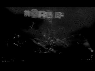 MORGLBL " Stoner de Brest "