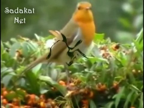 Ötme Bülbül - Fikret Erkaya [Çalgısız İlahi]