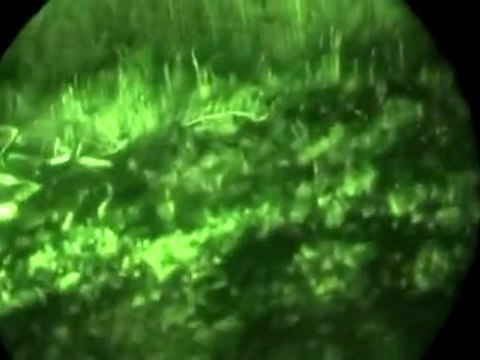 ovni triangle usa ,a voir !!