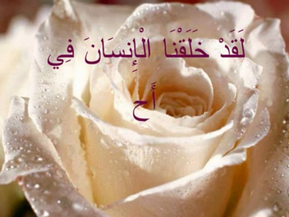 Tin Suresi-Saad el Ghamidi