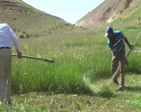 KATRANLI KÖYÜ HAZ: MEVLÜT YAYLACI. tekmankatranli.com