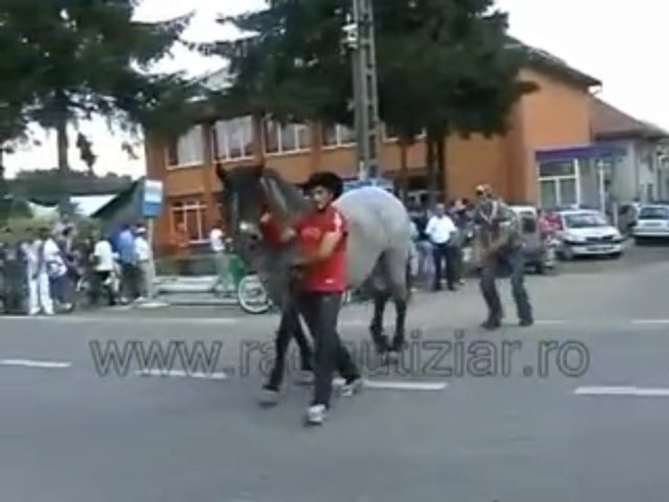 He received a beautiful horsekick.