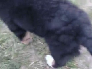 Eika RAS : 20091101 Derrière la MANU