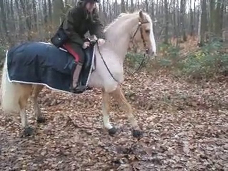 On découvre la jambette montée