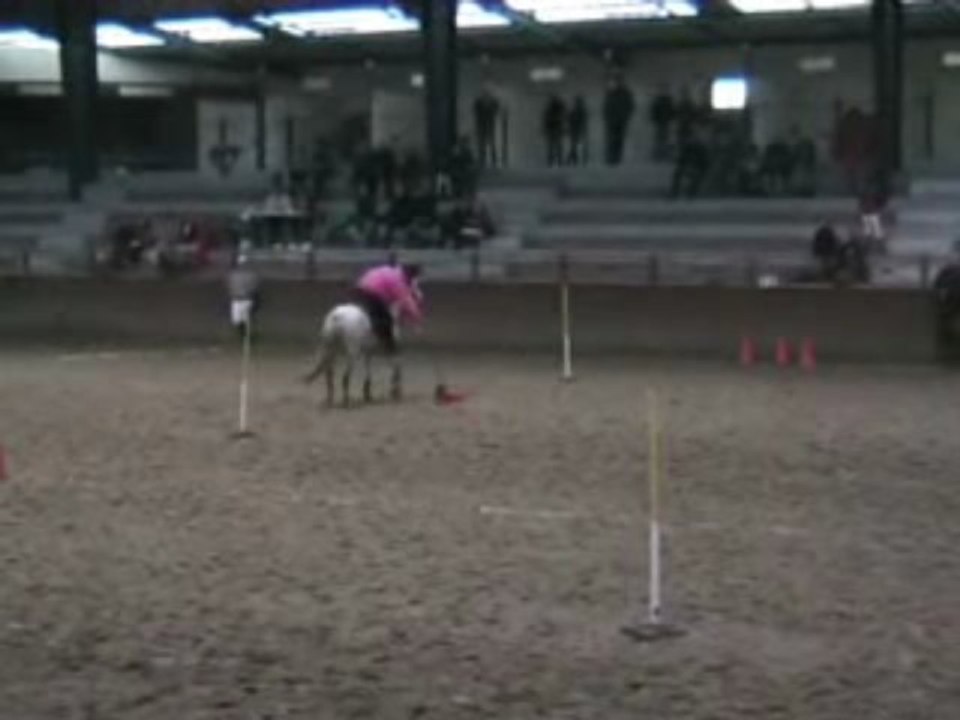 2 drapeaux