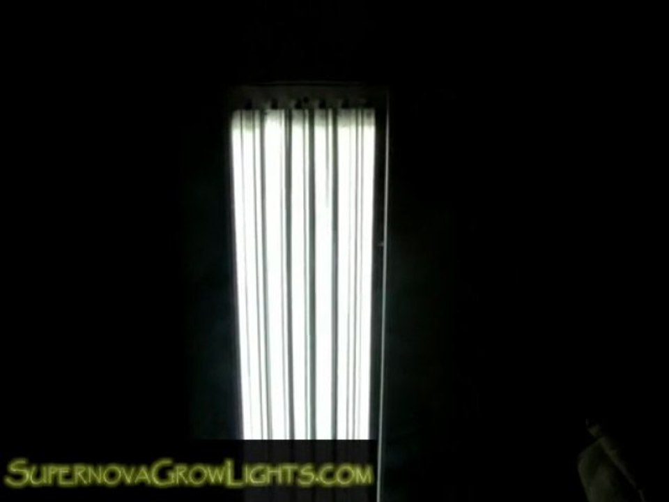 T5 Grow Light Demonstration