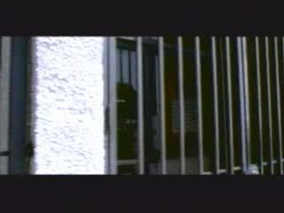 Descendents - I Am The One