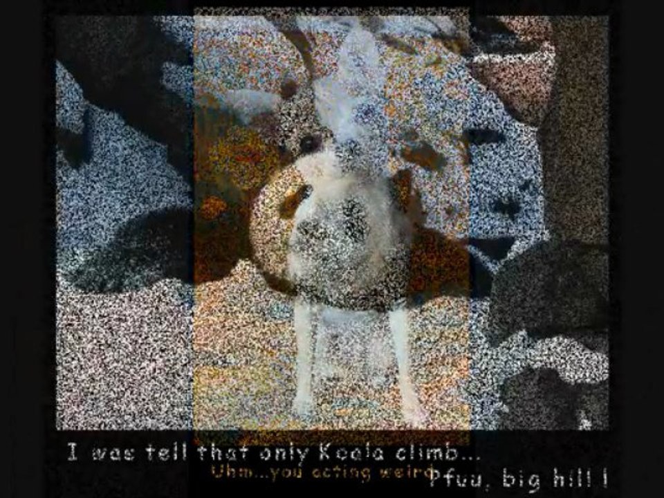 FurryTalk #3---v090-327---Oare Cat