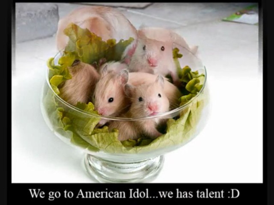 FurryTalk #5---v090-502 Melc Melc Codobelc