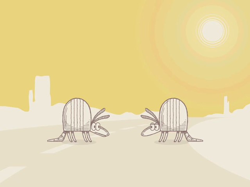 Nature Break - Armadillos #07