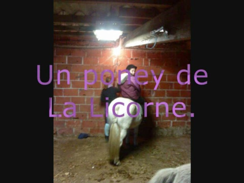 ♥♥♥ Mickey ♥♥♥