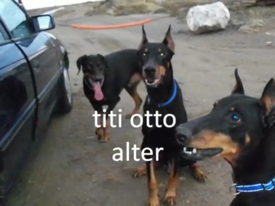 sortie du 22 11 2009