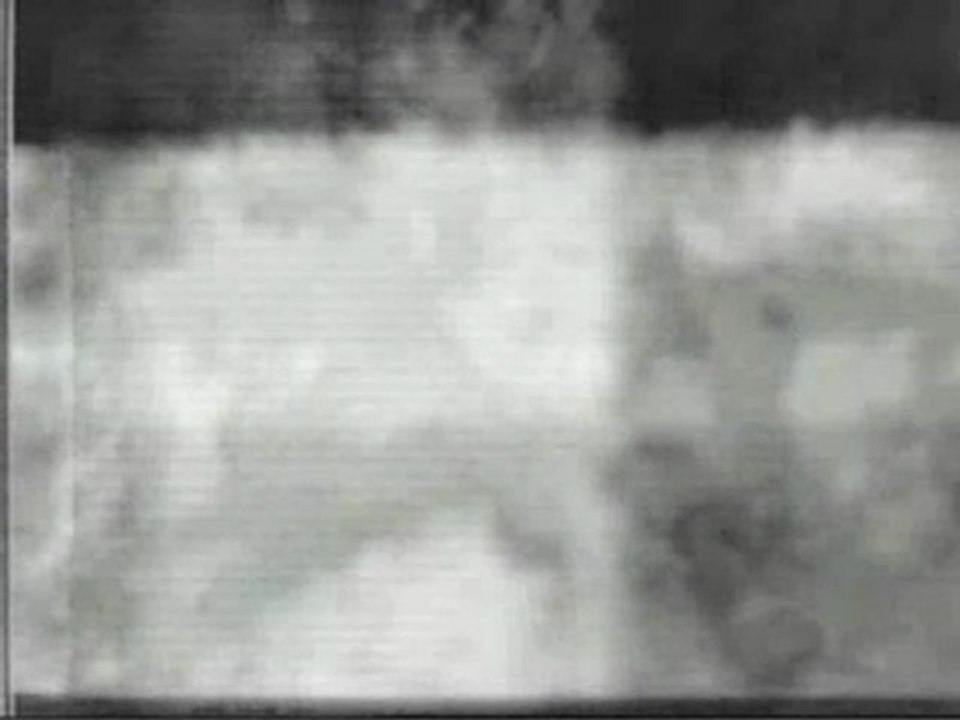 Transcommunication ITC Stephen Shepard 3