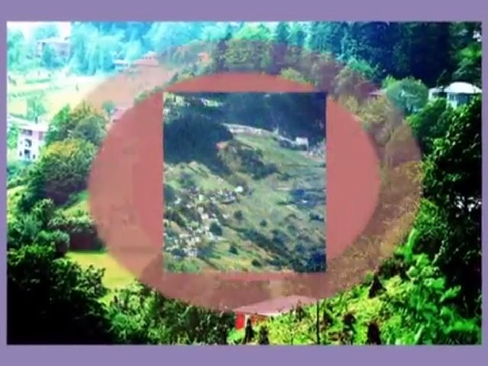 doğankaya gülcana videoları