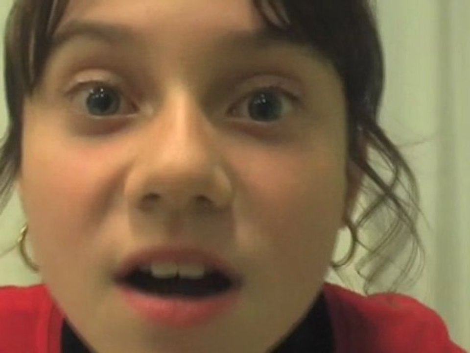 Le Voyage de Gulliver