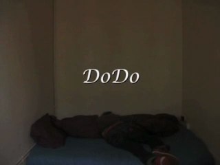 DoDo