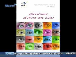 Association Enfance et Familles d'adoption (Alsace)