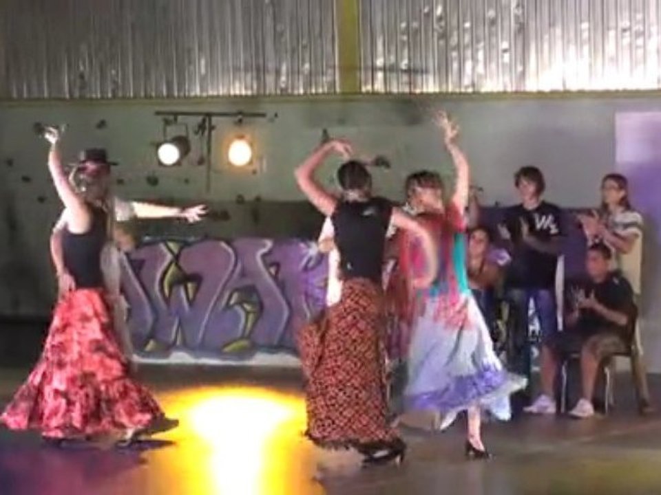 Danse du monde 3 Flamenco