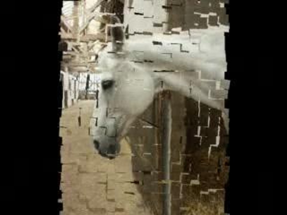 ours_0001
