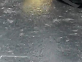 pigeon petit pigeon que mange tu ?