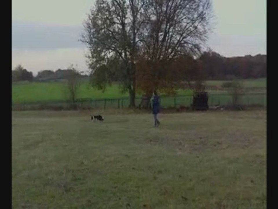 tess au troupeau 1