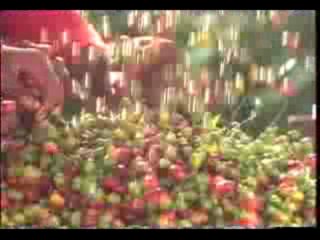 Mi Pueblo Natal Anuncio Barcelo - Barahona