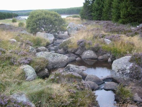 Nos randos dans le languedoc-Roussillon.