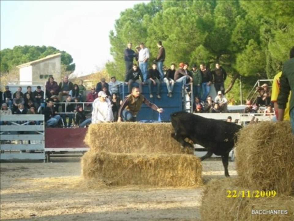 encierro a guallargues le mtx manade cuillé