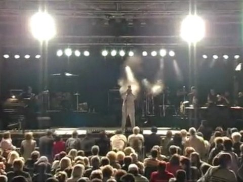 Gilles Pellegrini interprete James Bond Theme and Mannix