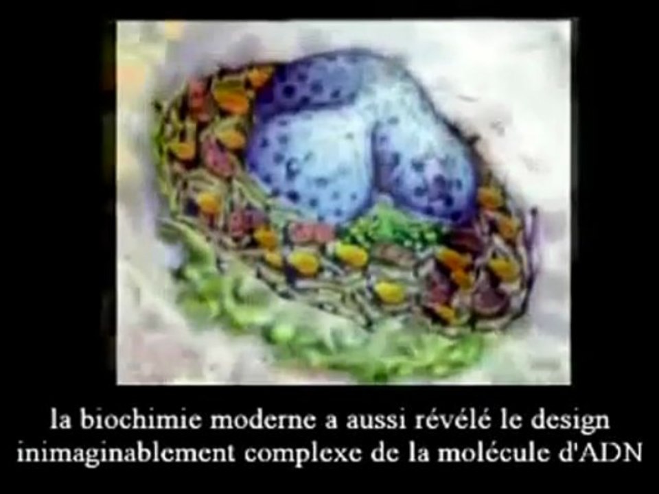 The Signs pt.38 (La Fin du Darwinisme)