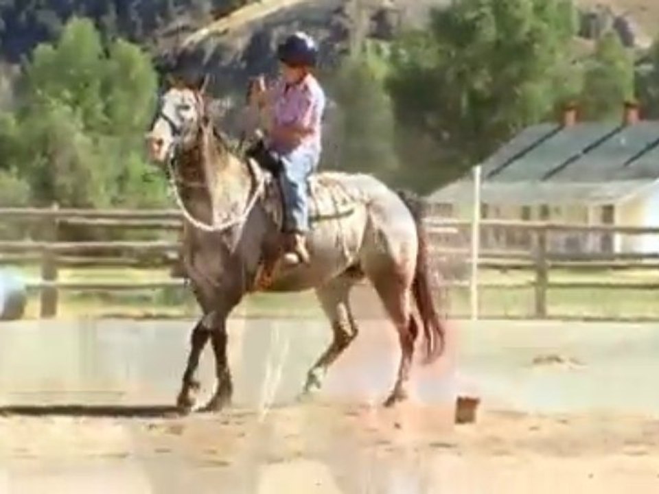 4UR Ranch Horseback Riding - Creede, Colorado