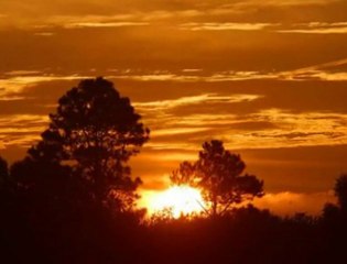 BIZIM ICIN CALIYOR-KEMAN-SOLO