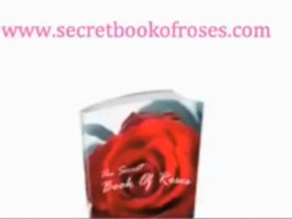 What you need to know on Caring for Roses.