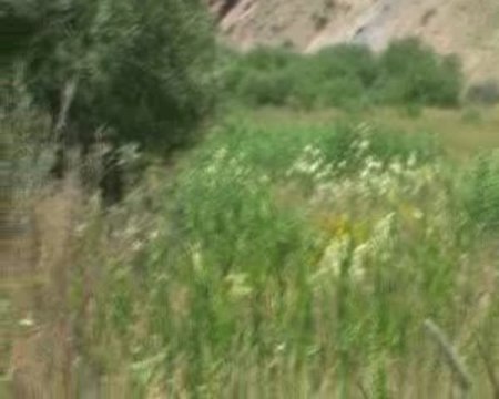 KATRANLI KÖYÜ HAZ: MEVLÜT YAYLACI. tekmankatranli.com