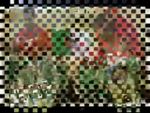 ALGERIE VS EGYPTE 1 0 YAHIA MATCH 18 NOVEMBRE 2009