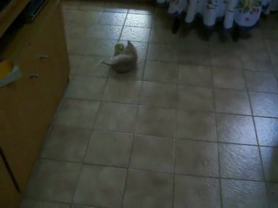ADRYAN Y LA PELOTA