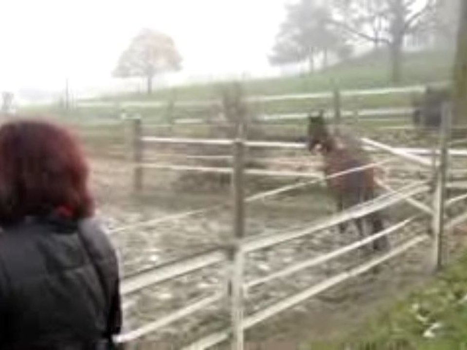 Quartersmann couloir de saut