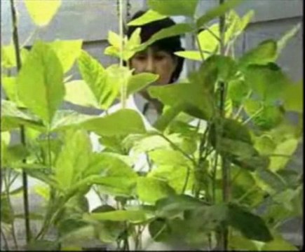 Beyond the Bean – Soybean Genomics - Part 1