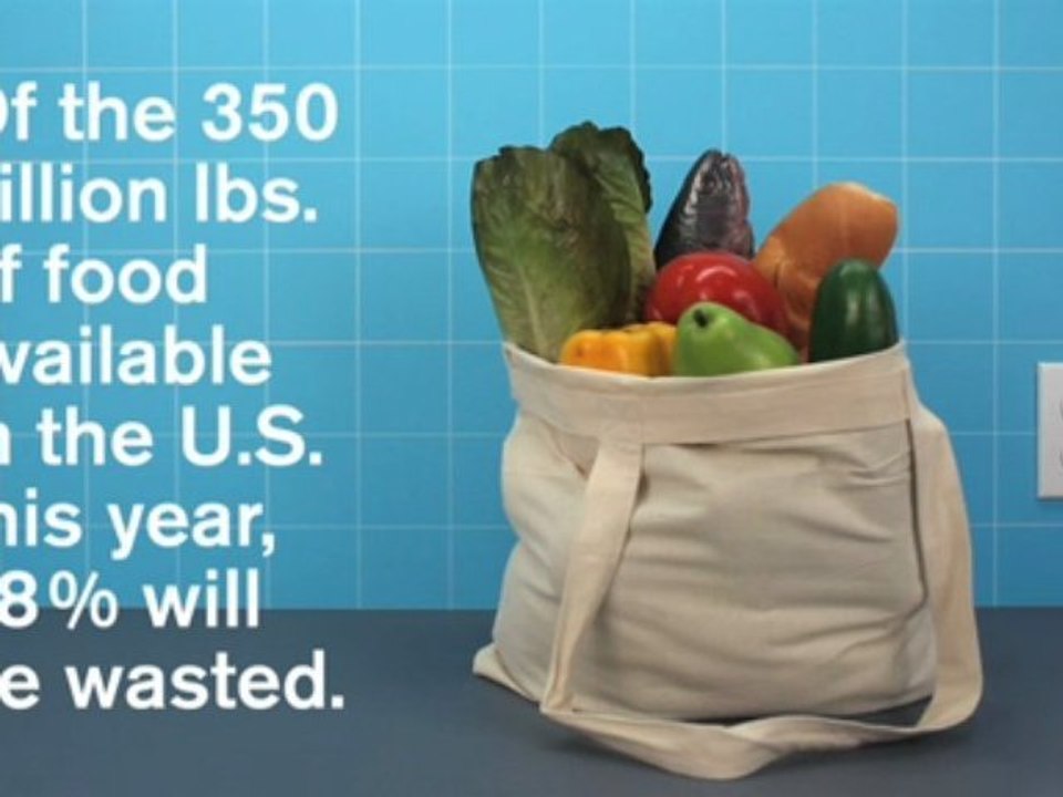 Food: Waste Not, Want Not