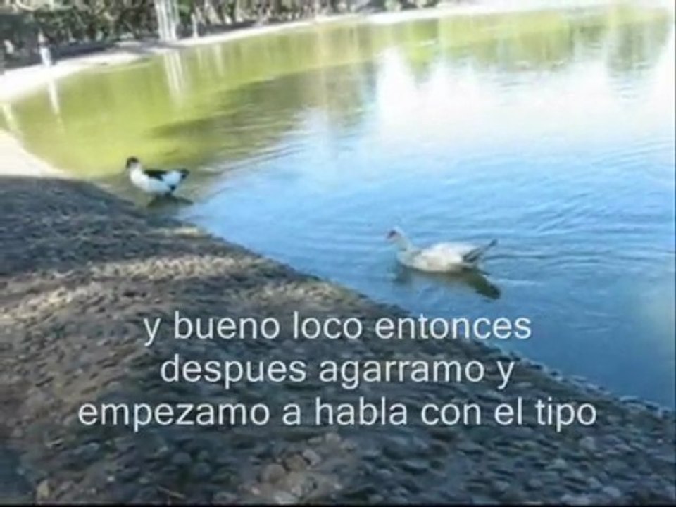 La historia del Martin - Radio Amanatar