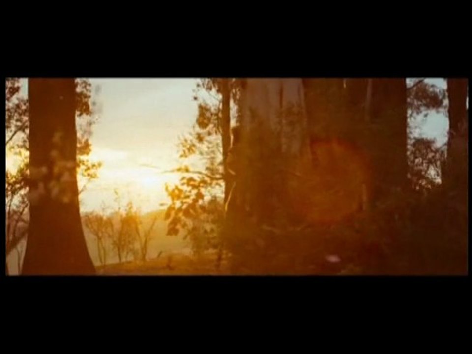 Max Et Les Maximonstres (bande-annonce)