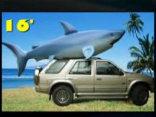 Inflatable Animals - Orca & Shark