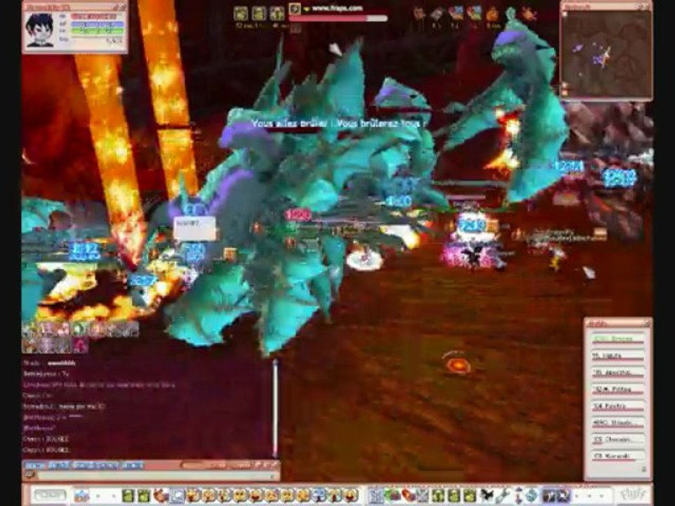 [Aurore][Flyff] Dragonfly Defis de Shade