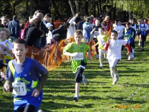 photo montage vitrolles