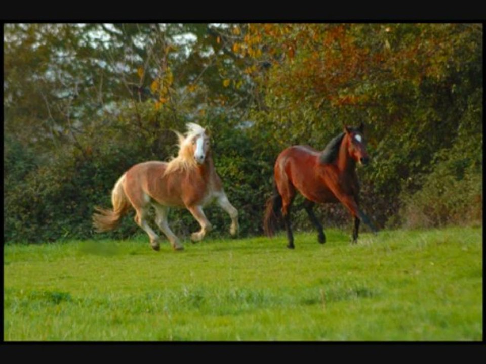 Montage dernières séances