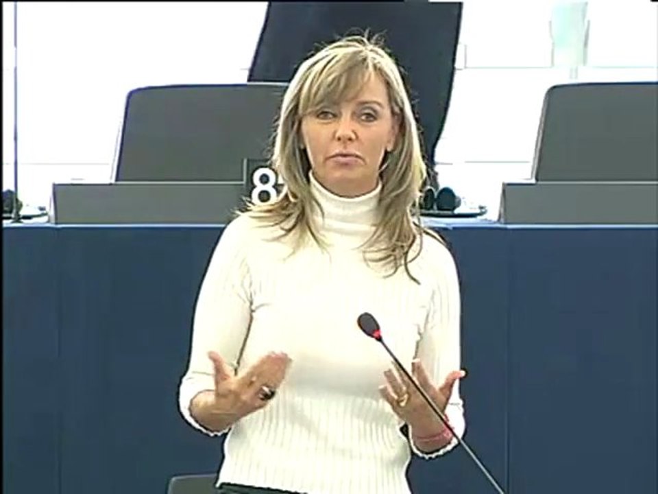 Frédérique Ries on Copenhagen summit on climate change