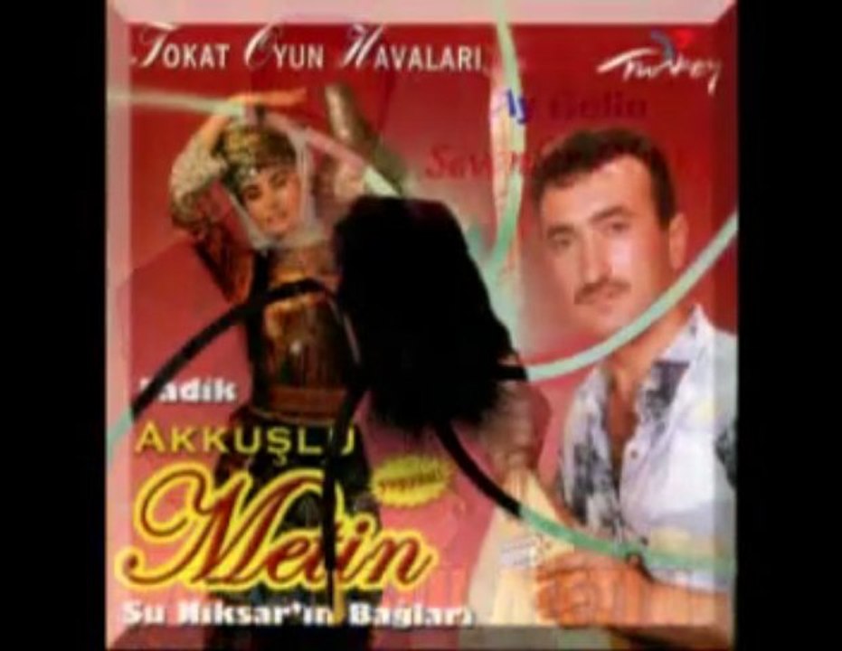 Akkuslu Metin - Altin Disler