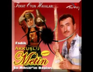 Akkuslu Metin - Bir Sen Eskimedin